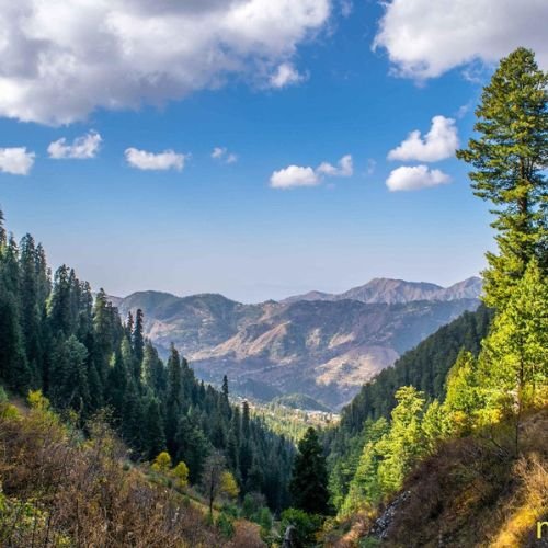 listing-details-carousel